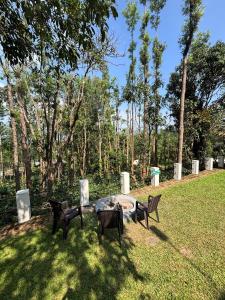 Good Earth Swimming Pool Homestay