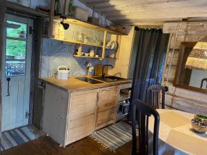 Vienkiemio oazė- Šermukšnėlis