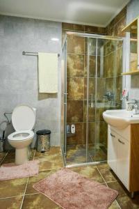 Feniks Apartmani Zlatibor