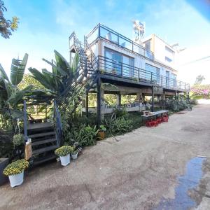 Homestay Container Bee Home Di Linh