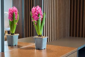 Skyview Luxury Retreat - Valentino Home Xcity Tower