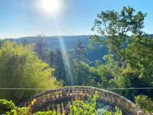 Exceptional XVIICastle in Dordogne Golden Triangle