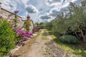 Villa Torine ZadarVillas