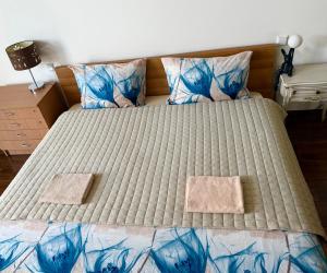 CENTRO House