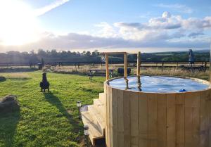 Cosy Off Grid Shepherds Hut with Wood Fired Hot Tub