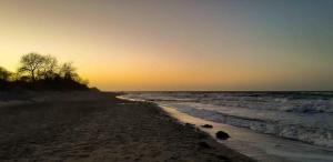 Am Weststrand Ferienwohnung 6