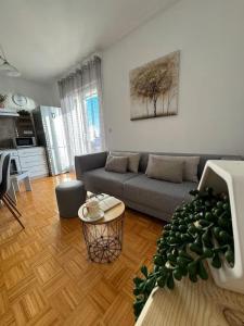 Apartment Ilija