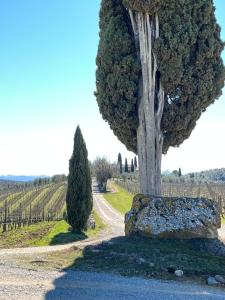 Casa Rossella, incantevole casa con piscina in Tenuta storica del Chianti