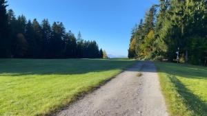 Pfoten und Berge Oberreute