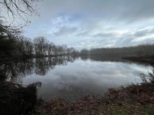 La casina de la alberca