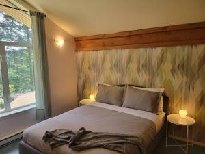 Rainforest Retreat