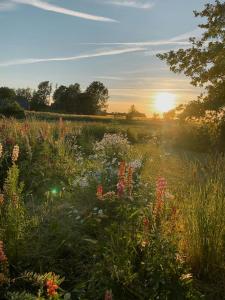 Charming Country Holiday Home In Österlen