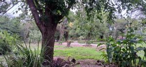 MAINUMBY, Departamento hasta 4 personas en Santa monica