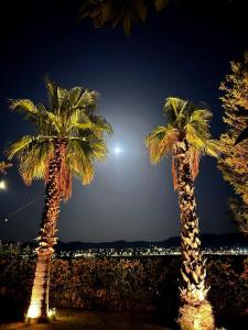 Athens Riviera Villa overlooking the Aegean sea