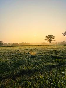 La Petite Félixière