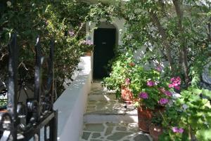 Meltemi Andros Greece