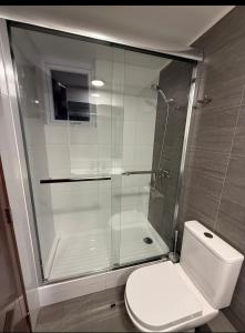 Oceanfront apartment in Cavancha 1 district