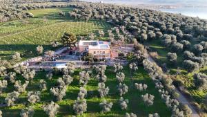 Azienda Agricola Villa Manicone