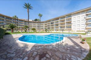 Los Flamencos Patrick