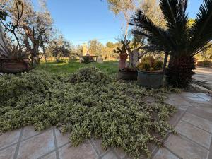 Villa Flora Gallipoli