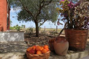 Agriturismo Casa Porcara
