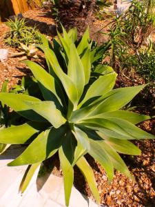 Villa Azur Élégante, piscine et grands espace