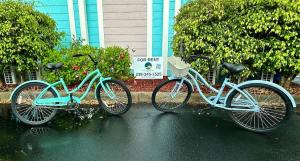 NEW Cozy Studio near Beach