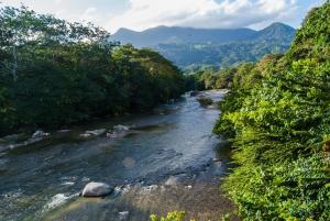Casa Victoria Regia , only 10 minutes from Tayrona