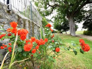 Maisons de vacances Castle near Agen with Shared Pool : photos des chambres