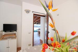 Case vacanza Pittulongu img11