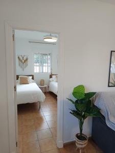 Casita Alejandro