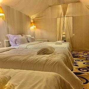 Sahara Crown Luxury Camp