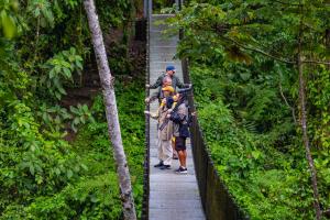 Lost Iguana Resort and Spa