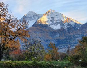La Mèison de la Louye