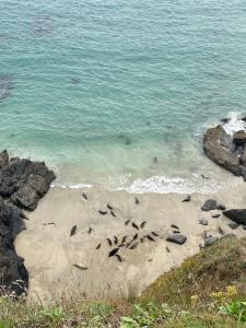 The Mariners Sea View Cottage at Church Cove