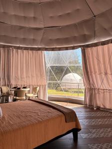 Green Noise Domo Deluxe