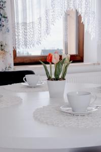 Apartamenty Pienińska Aura