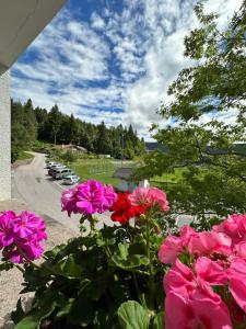 Grunen Baum - Vöran