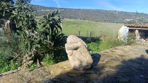 Guesthouse Momenc de Pesc