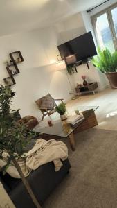 La Saint-Gouëno, Appartements Centre Saint-Brieuc