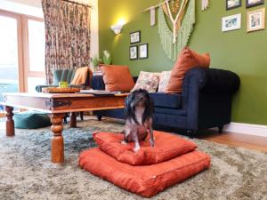 The Coach House, The Grove