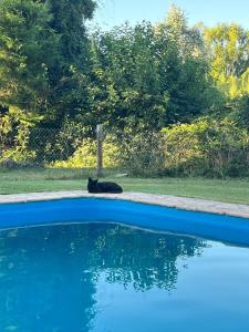 Cabaña en la naturaleza El Mangangá