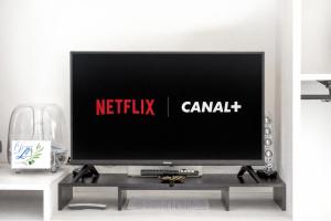 Domaine Des Lucques B&B with Private Infinity Pool & Grand Olive Grove