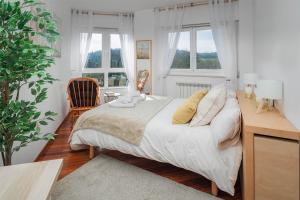 Mirador del Tambre Etapa final del Camino