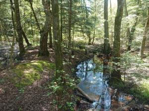 Family Retreat in Lodskovvad - By Traum Ferienwohnungen