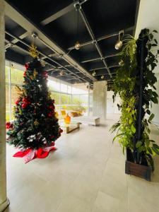 Espacio pet-friendly con terraza amplia y asador