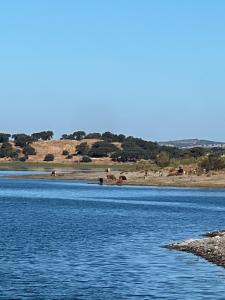 Casa da Família - Mourão
