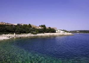 Apartments in Pula - Istrien 50046