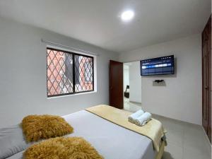 Urban Oasis - Ermita