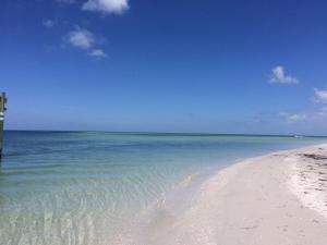 Birdsong Gulf Front Condo